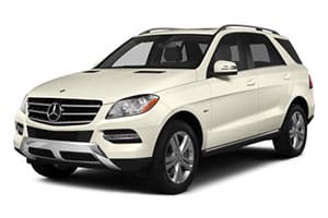 ml-w166